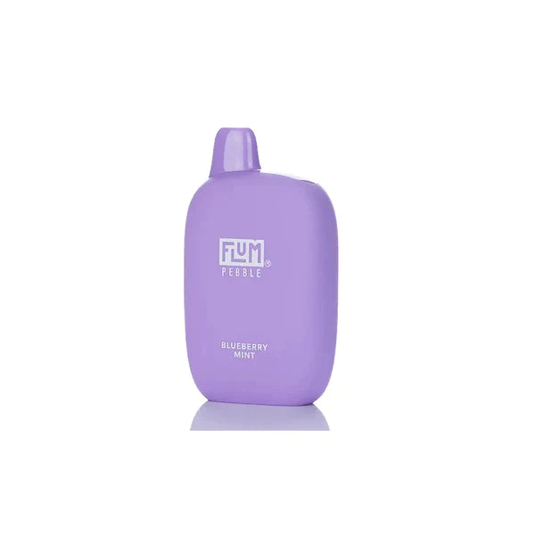 FlumPebble6000PuffsRechargeableDisposableVape 14MLBlueberryMint